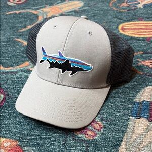 Patagonia Fitz Roy Tarpon trucker hat o/s